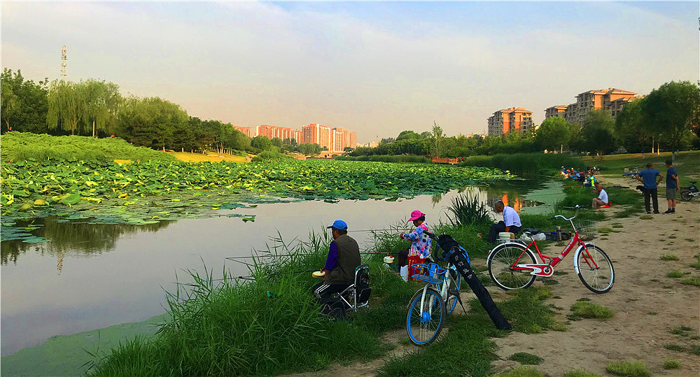 刘勇良手机纪实摄影：闲来垂钓碧溪上（图ZMTY0NDYzNjYw） - 人文/纪实摄影 - 站酷设计师刘勇良意创书设原创素材 - 站酷ZCOOL