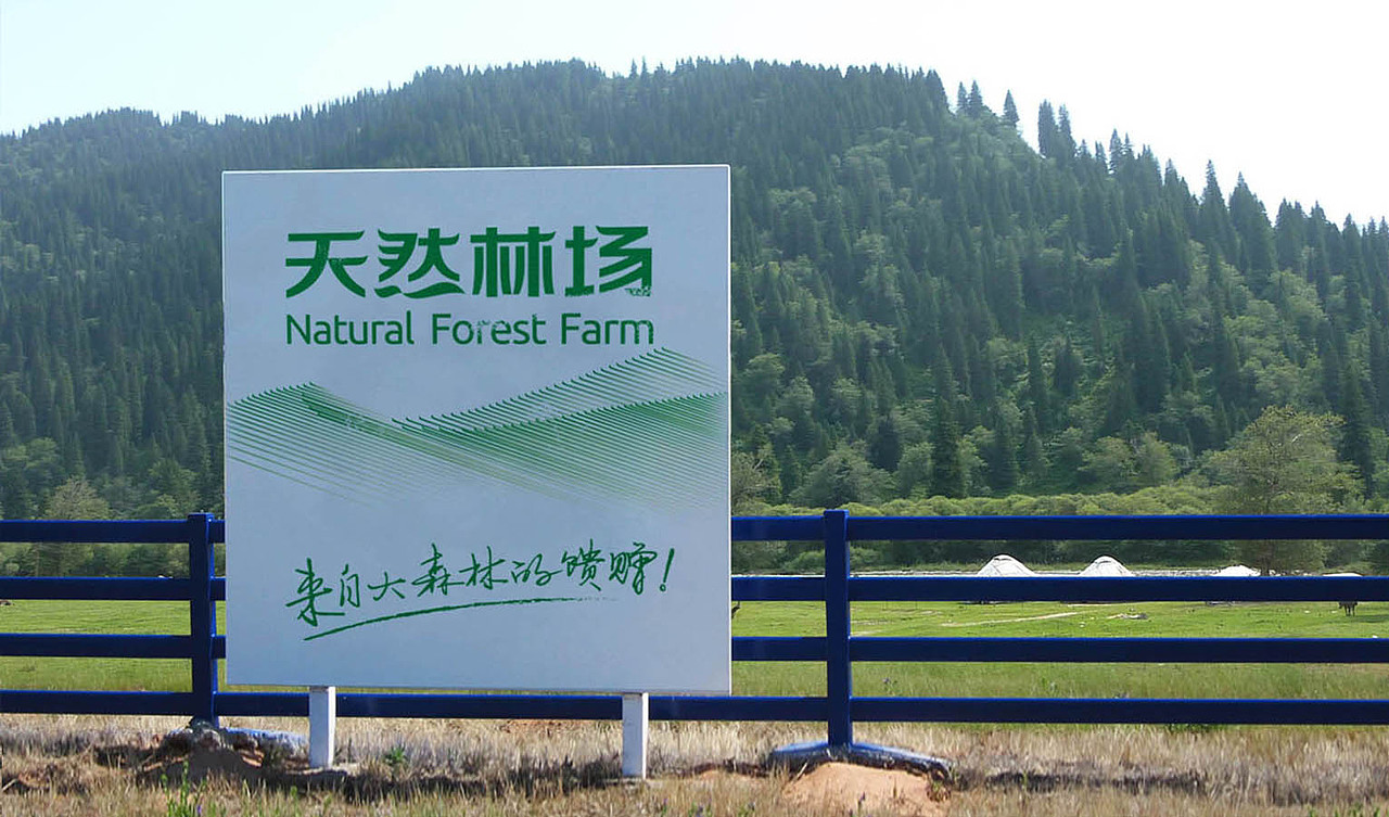 天然林场 品牌设计 VI设计 网站设计（图ZMjQ2MDU0Mzgw） - 品牌 - 站酷设计师翎鹿品牌设计公司原创素材 - 站酷ZCOOL