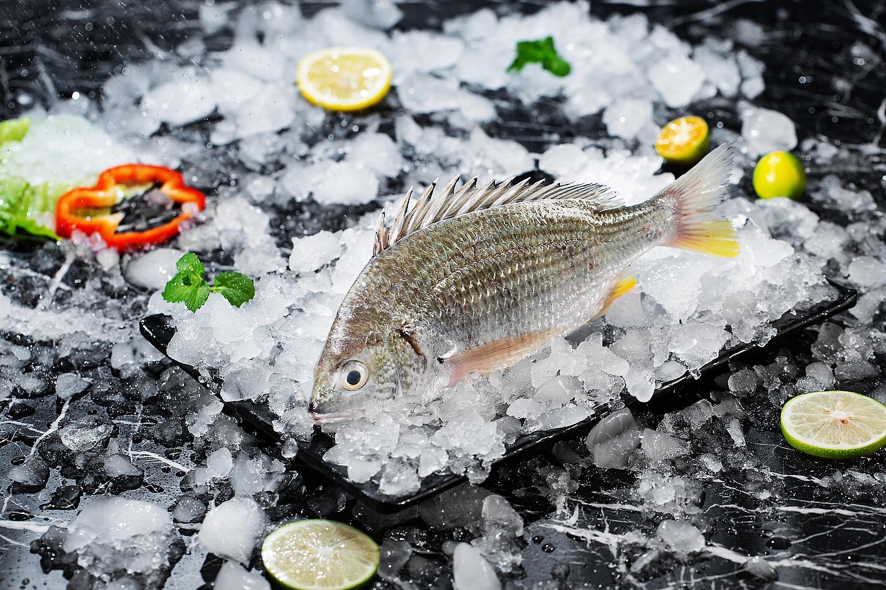 生鲜拍摄 菜品 创意拍摄