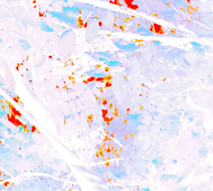 一些通过改色相饱和度对比度的摄影作业