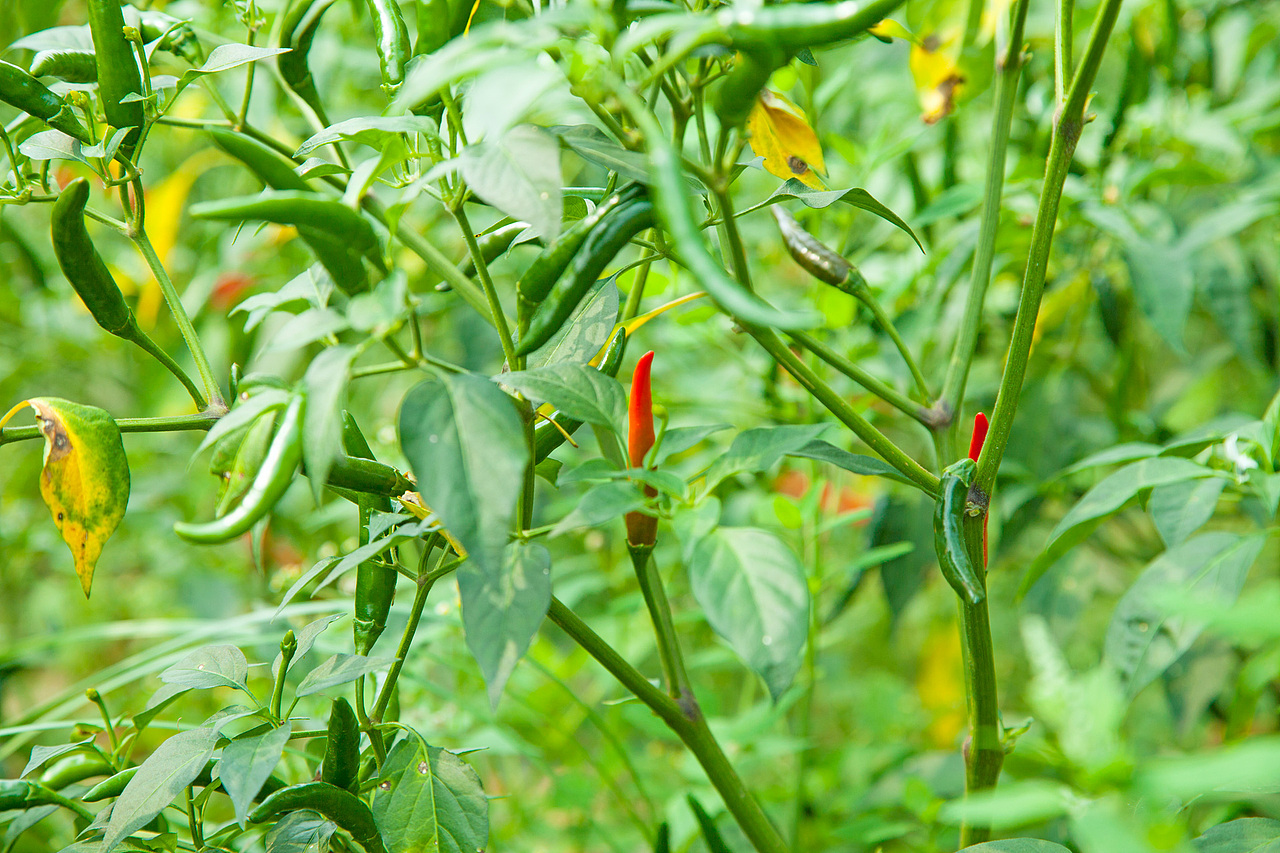 陕西洛南旅游扶贫摄影花絮集合