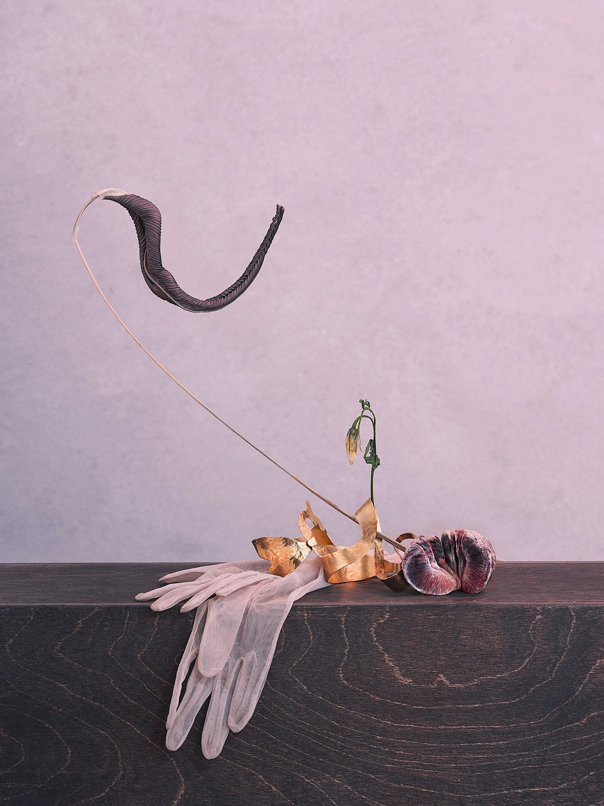 枯桦的个人主页（封面预览） - 主页封面设置 - 站酷设计师枯桦原创素材 - 站酷ZCOOL