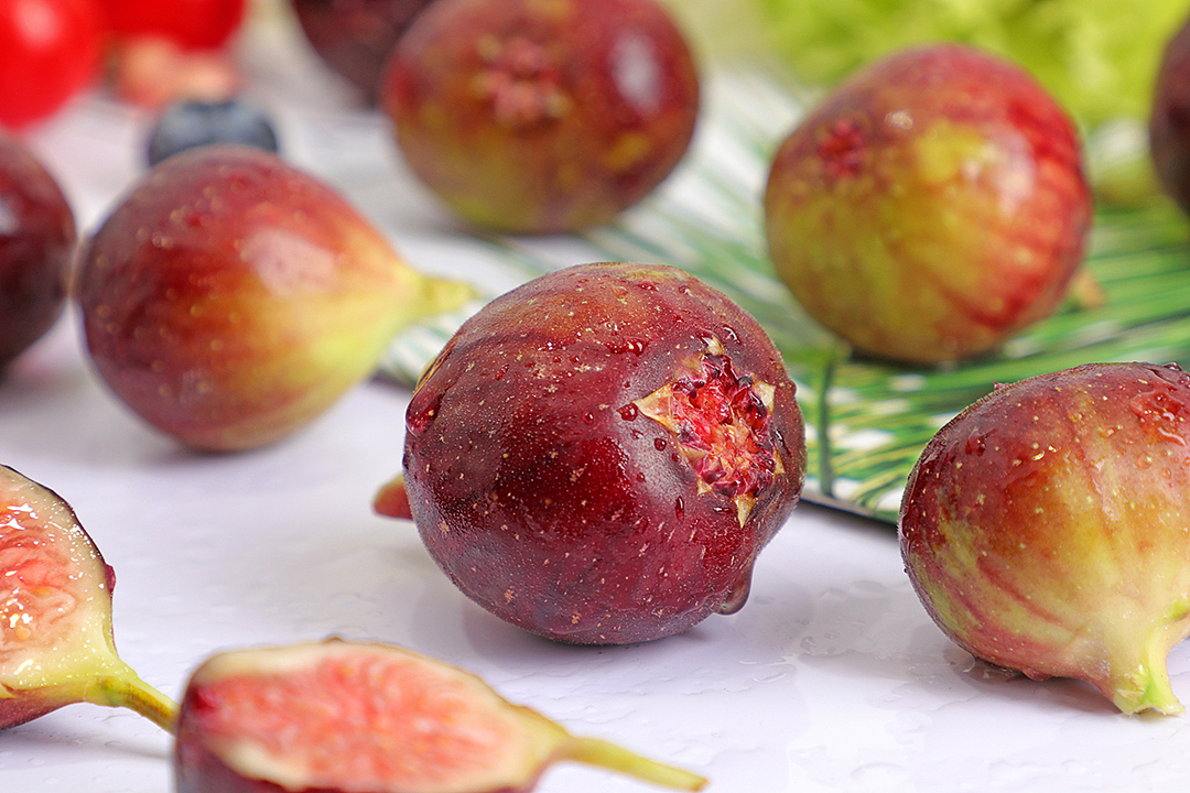 加州黑无花果丨硬币大小的无花果果实