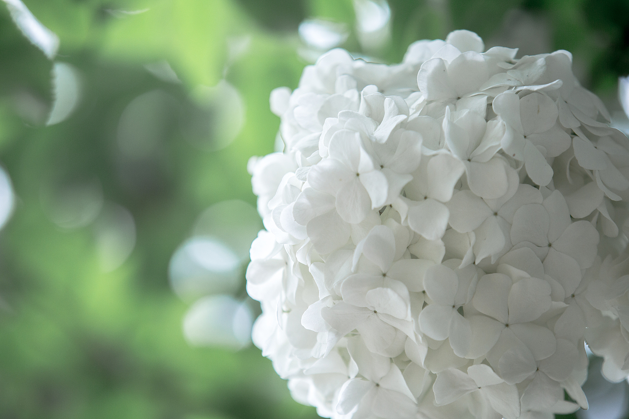 PURE WHITE（图ZNDYyNjY4NTY=） - 风光摄影 - 站酷设计师浮沉流星原创素材 - 站酷ZCOOL