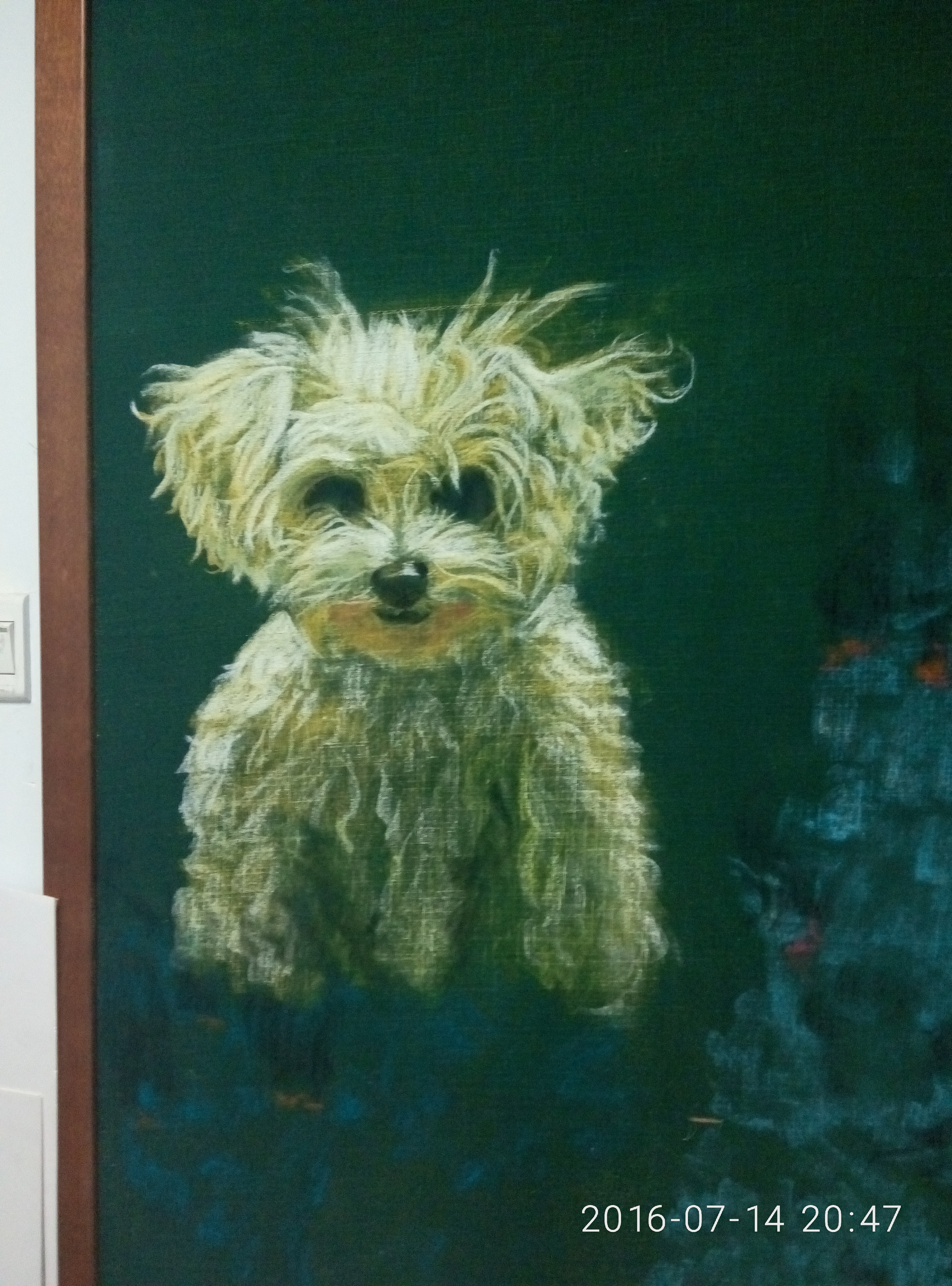 猫猫狗狗粉笔画