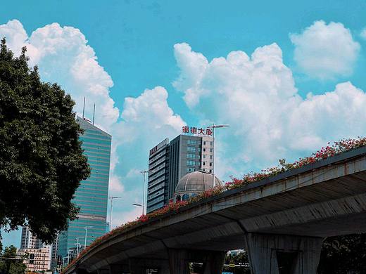 被好风景收买 剩下都是好心情