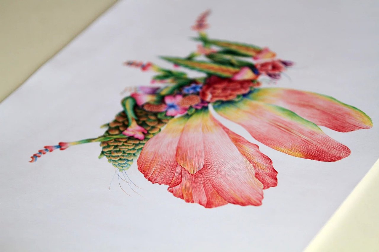 舒展《昆虫记—魔花螳螂》（图ZNDIyNzIzNTI=） - 商业插画 - 站酷设计师舒展原创素材 - 站酷ZCOOL