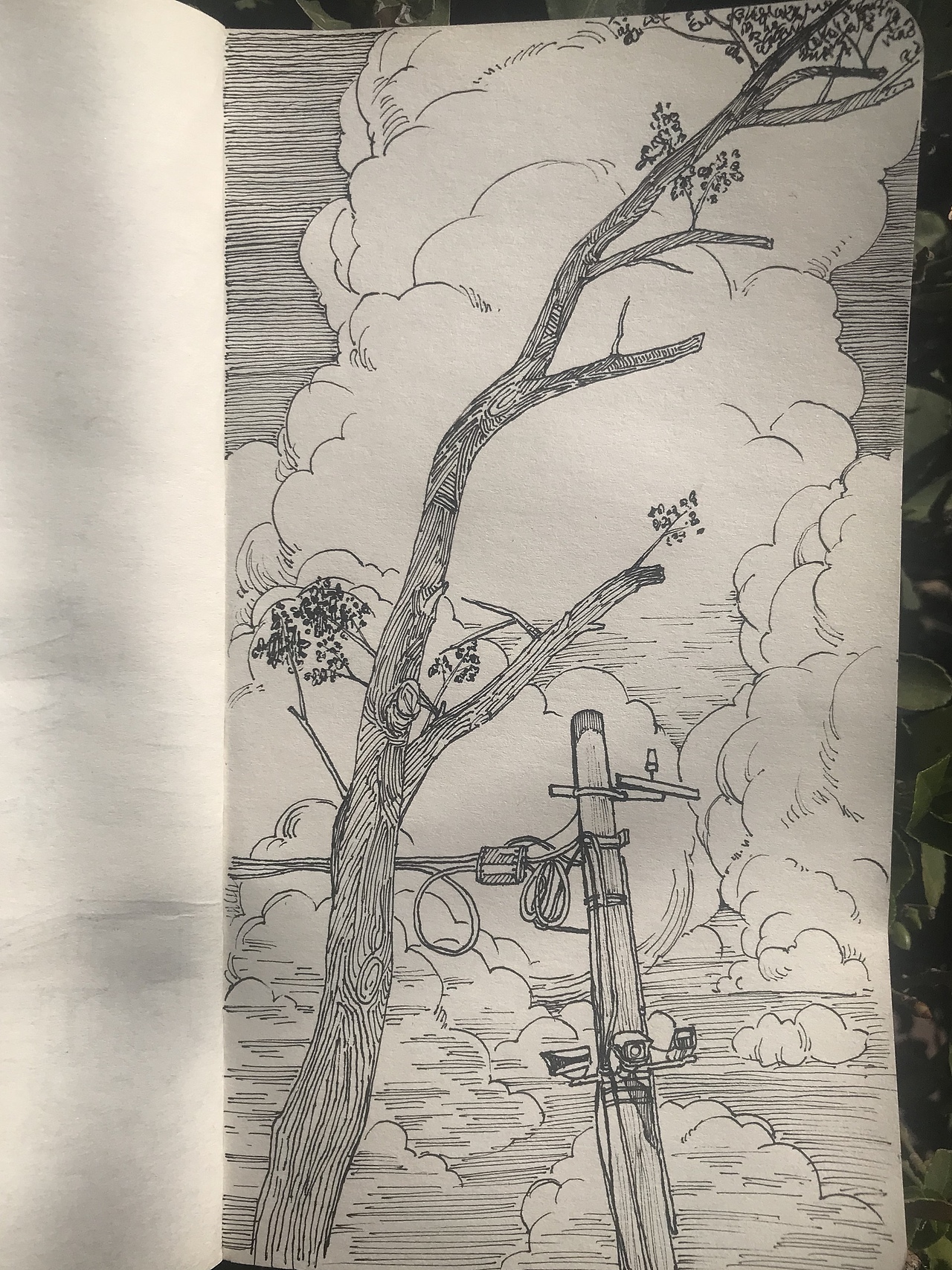 最近的一些速写