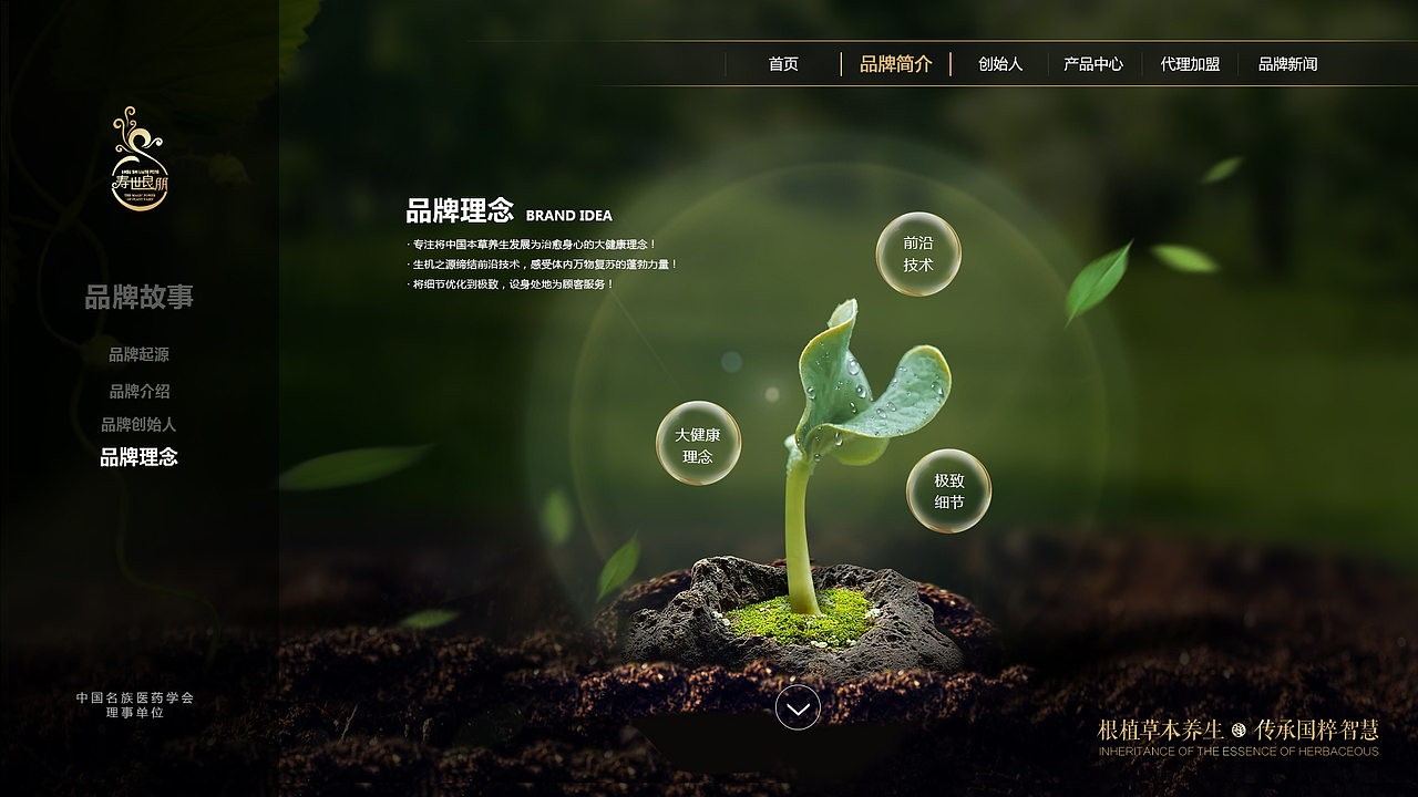 壽世良朋官網(wǎng)（圖ZMjU0NjEzNjQ4） - 企業(yè)官網(wǎng) - 站酷設(shè)計(jì)師Tony黃藝強(qiáng)原創(chuàng)素材 - 站酷ZCOOL