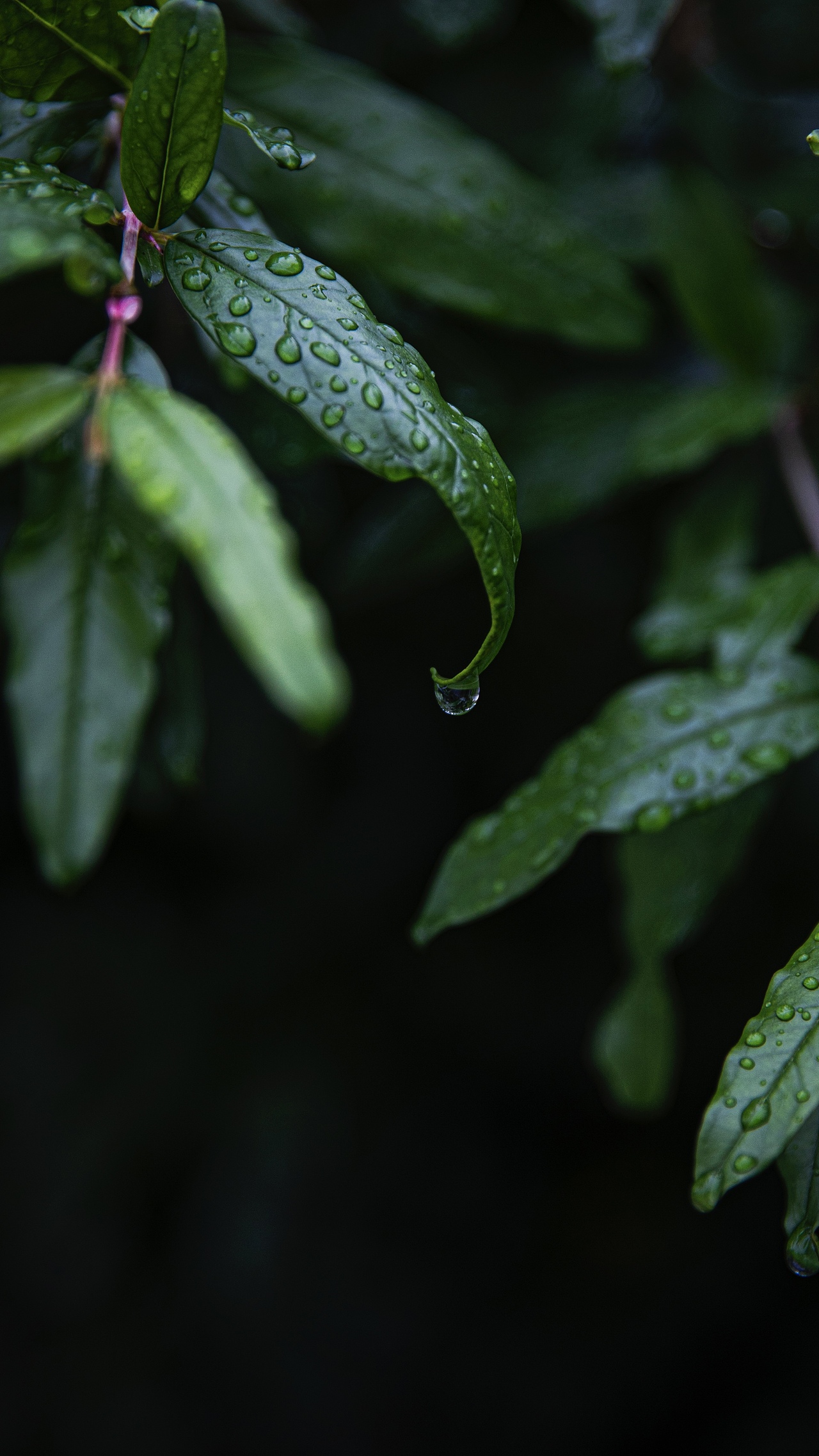 江南的雨（图ZMjk1MTk5MjQ0） - 风光摄影 - 站酷设计师西西西西西娅原创素材 - 站酷ZCOOL