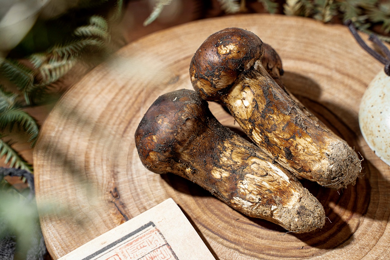 美食摄影|松茸菌菇拍摄