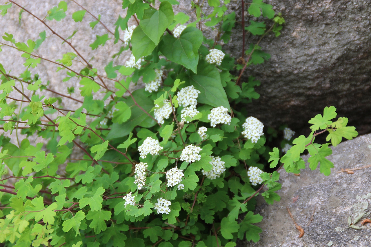 山水之美-从大自然中发现快乐