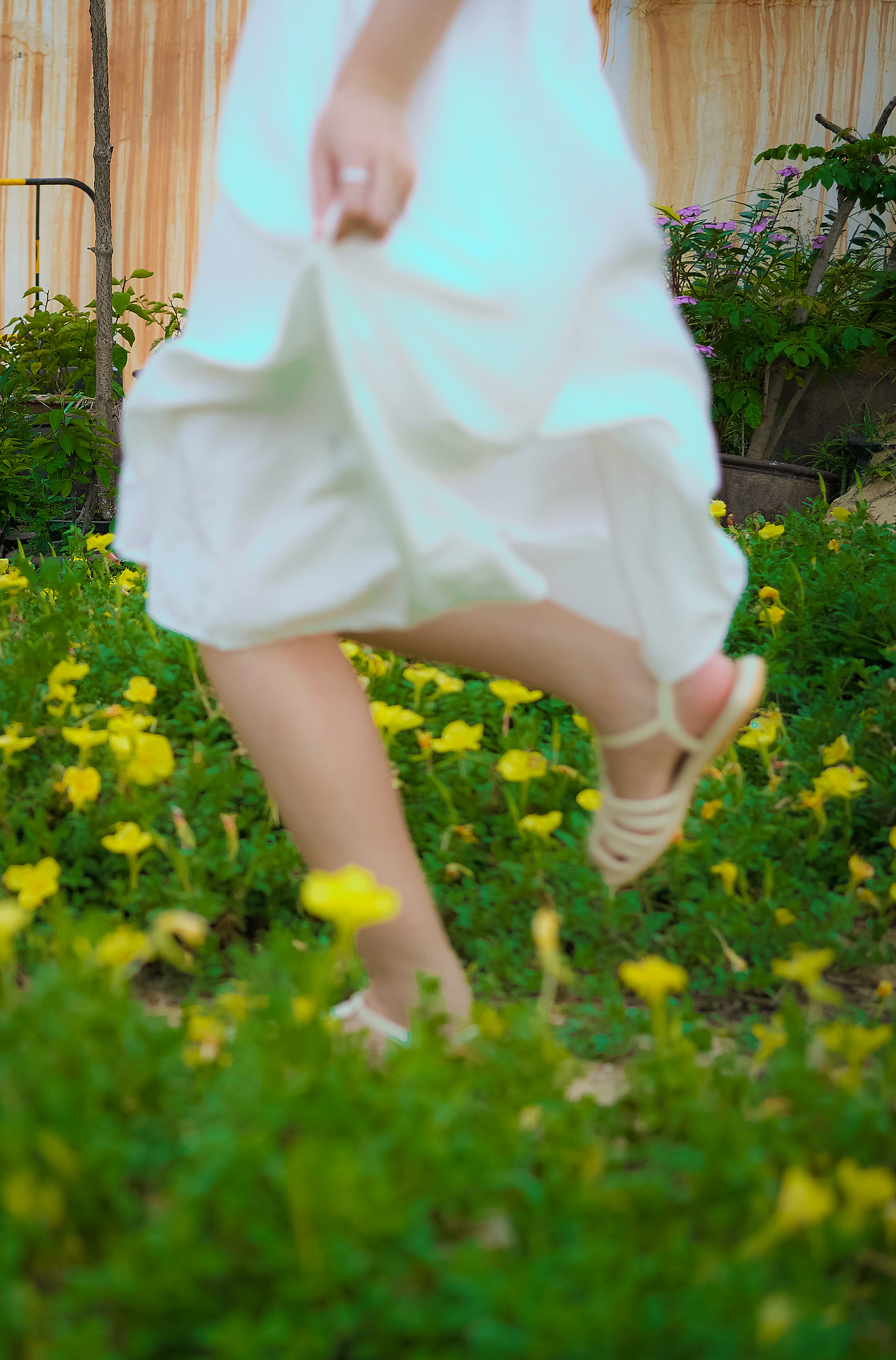 花季少女的夏天