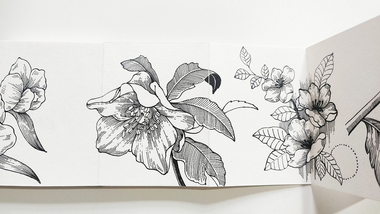 线描花卉,花园里面有什么?