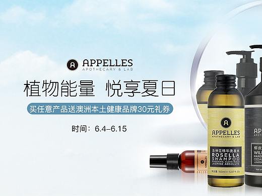 夏季洗护电脑端首页