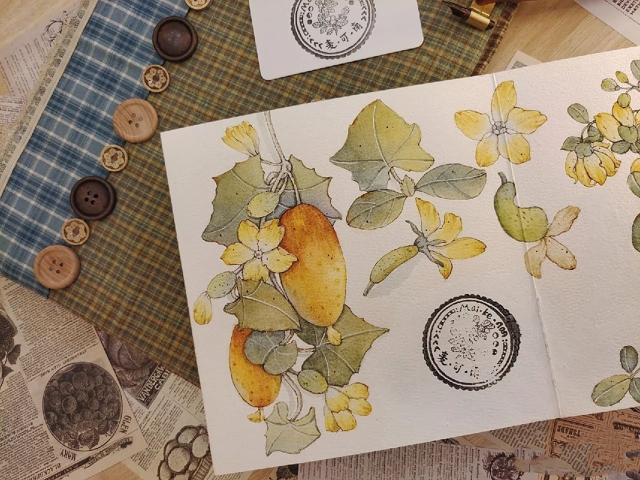 钢笔淡彩——黄瓜!