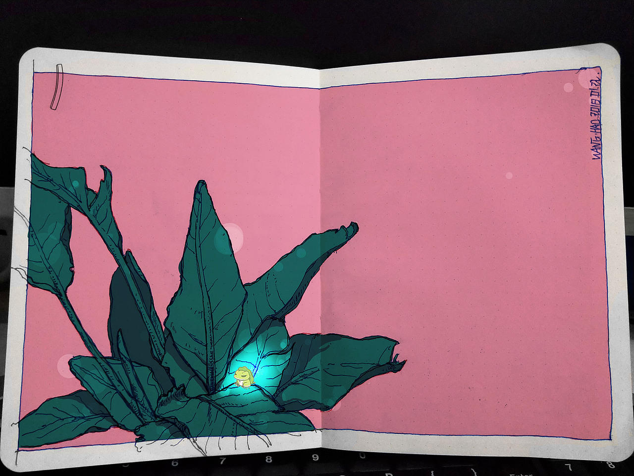 别找青蛙了，搁这呢！