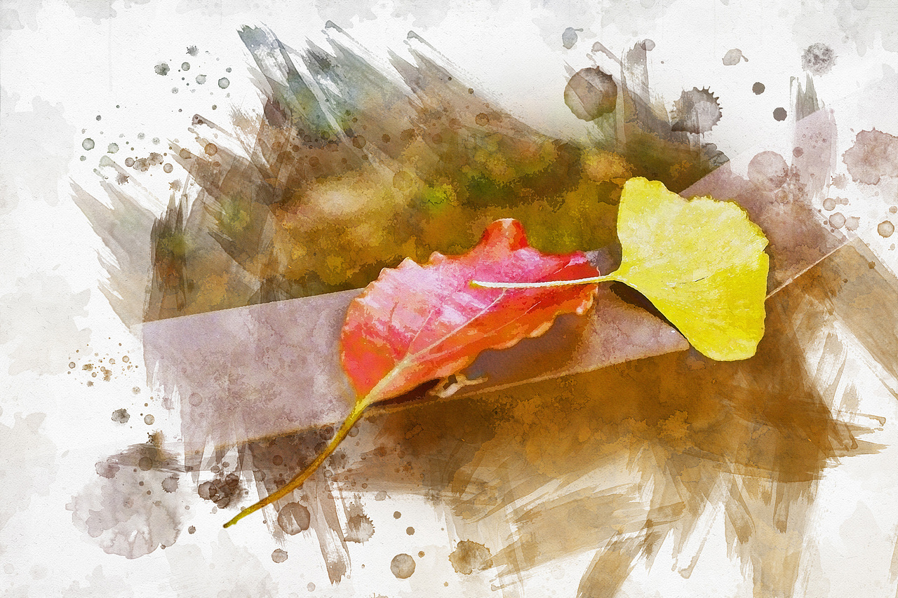 银杏叶·秋日记忆