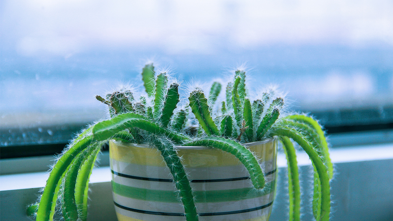 電腦桌面（圖ZNDQ0MzMxNjA=） - 產(chǎn)品攝影 - 站酷設(shè)計師山山而川上的麥子原創(chuàng)素材 - 站酷ZCOOL