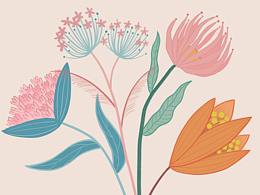flower装饰画