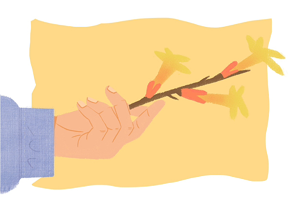 把四季留在手上