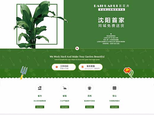 企业官网  绿植花卉