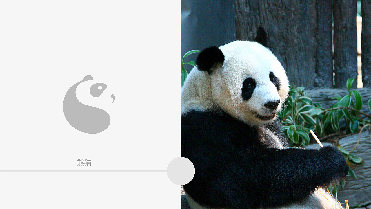 数字物流管理logo设计|熊猫TMS(图ZMjYxMTY2NTUy) - Logo - 站酷设计师土豆_Lix原创素材 - 站酷ZCOOL