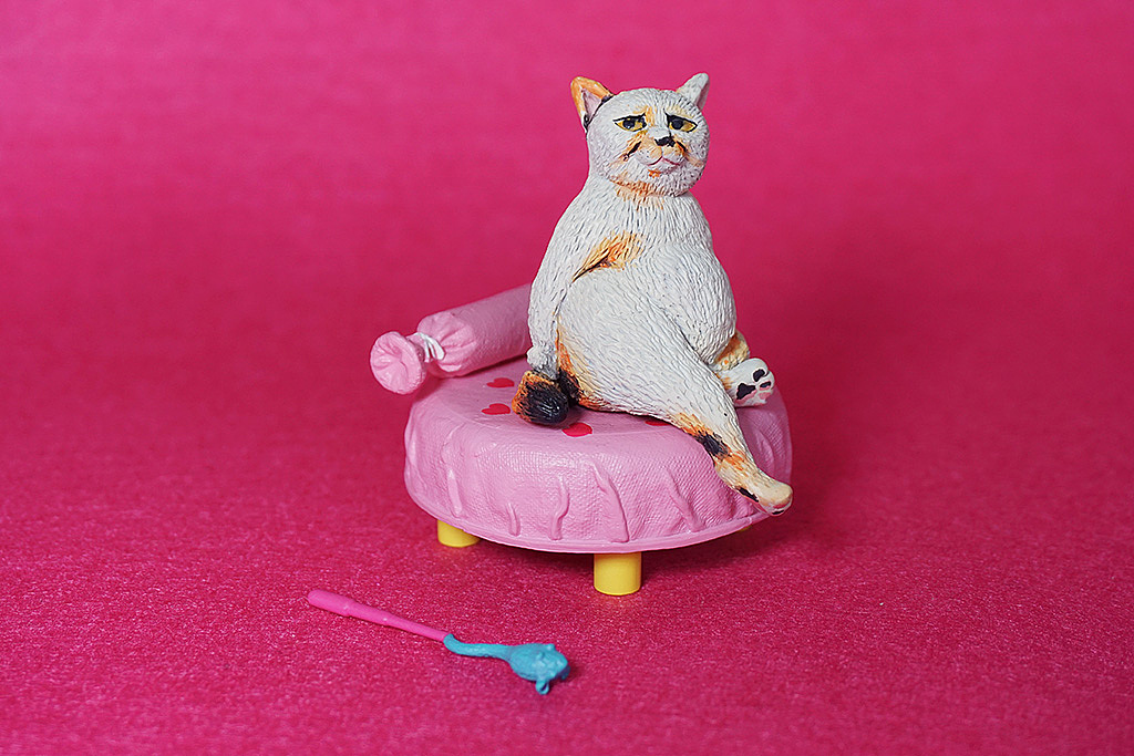 6只小咪：这泡面我们能压一年鸭！（图ZMTQ4ODM3Mjg0） - 手办/模玩 - 站酷设计师WMM王麦麦原创素材 - 站酷ZCOOL