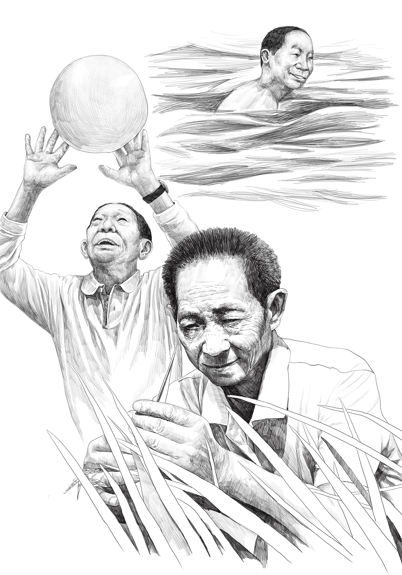 杂交水稻之父插画