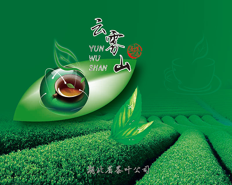 云雾山茶叶