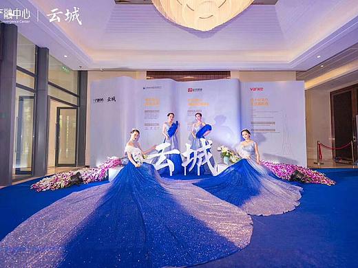 皖投万科案名解析会（云城）