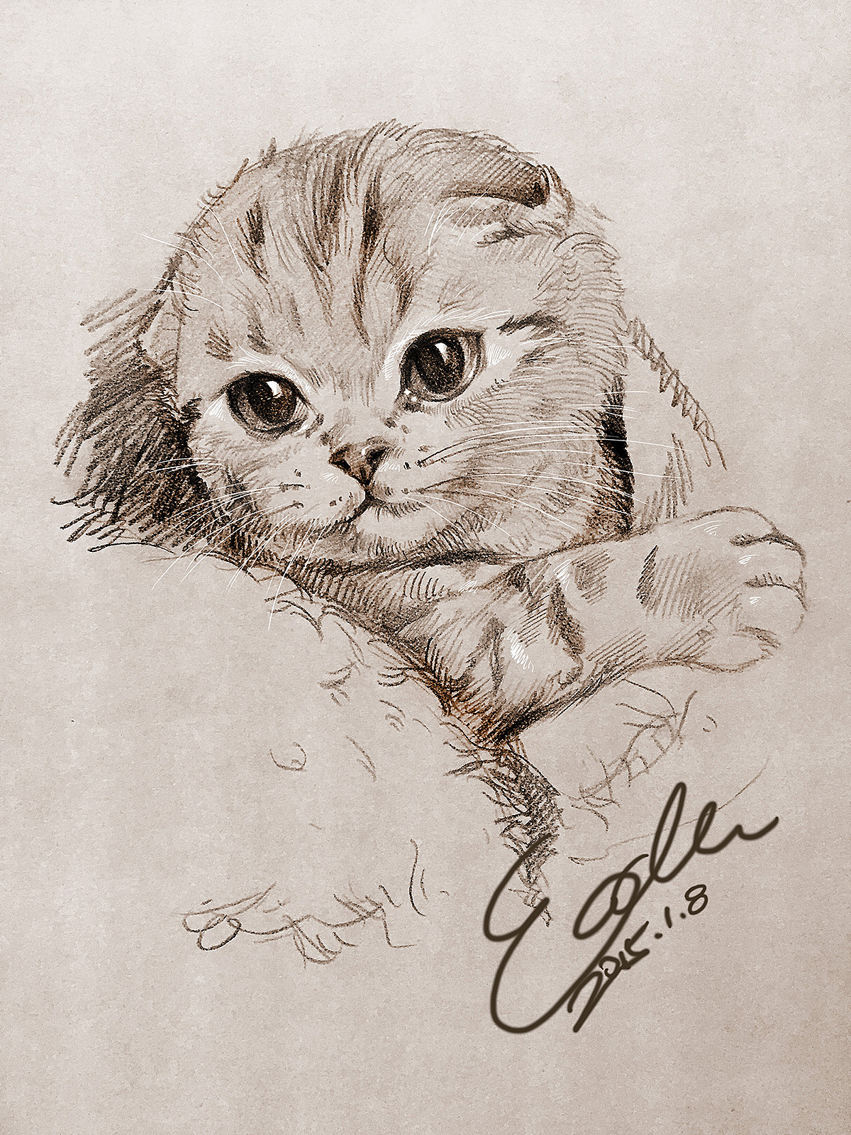 关于猫的国画写意作品，画家杨瑞对写意动物的思考|纯艺术|绘画|松果画坊杨瑞 - 原创作品 - 站酷 (ZCOOL)
