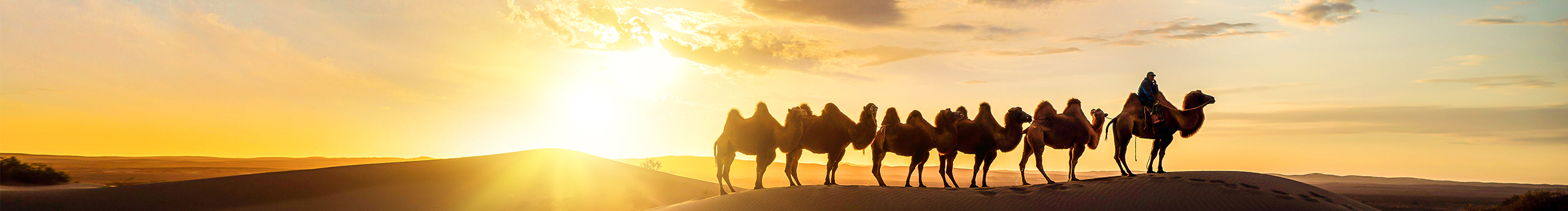 洗不白的黑的个人主页（封面预览） - 主页封面设置 - 站酷设计师洗不白的黑原创素材 - 站酷ZCOOL