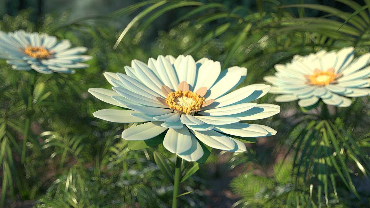 相同的时光，不同的精彩（图ZMzI0MTUwNjU2） - 动画/影视 - 站酷设计师灵感造境原创素材 - 站酷ZCOOL