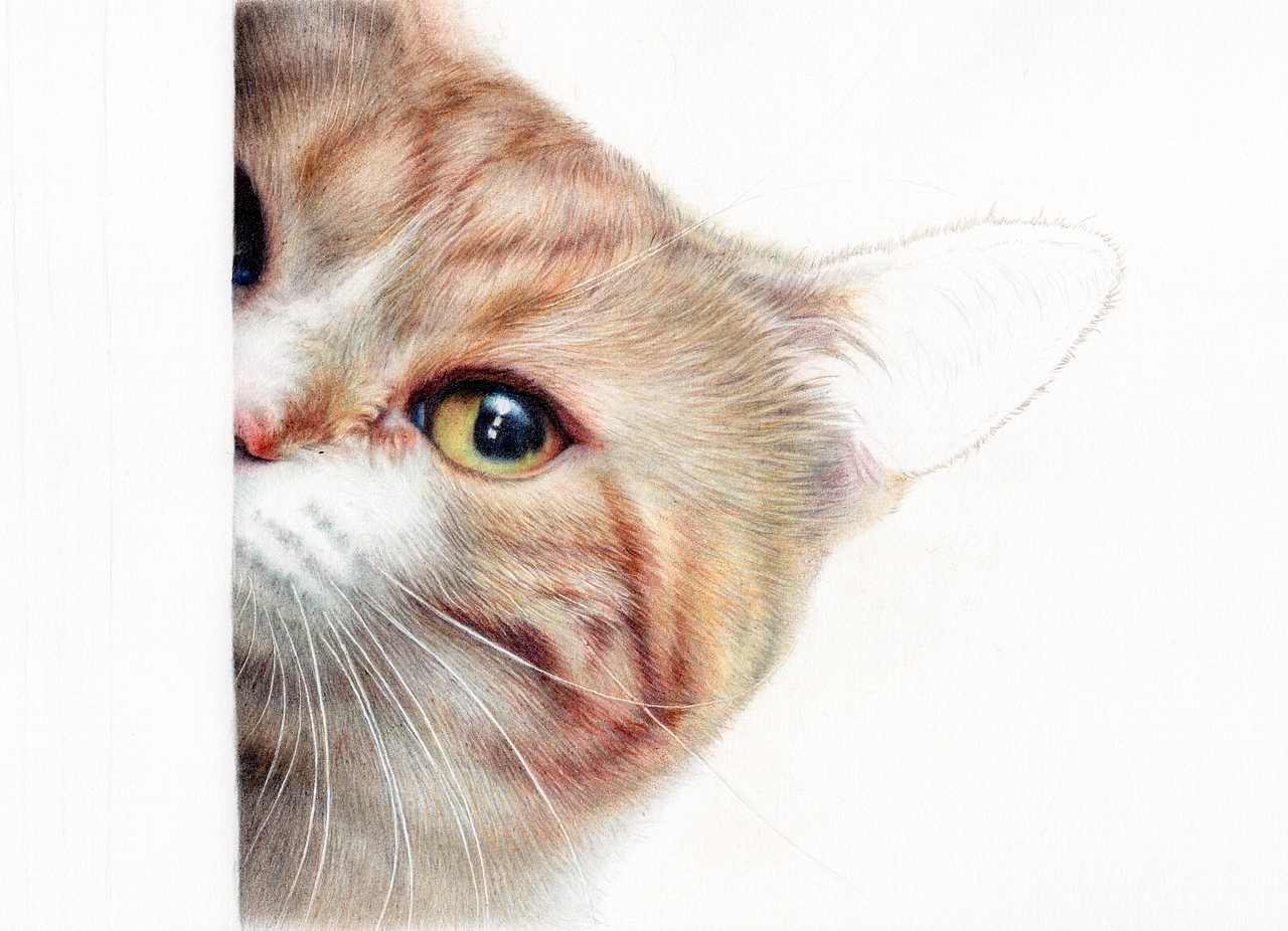 压岁钱不够图（图ZNjk1OTE4MDA=） - 绘画 - 站酷设计师林朵云原创素材 - 站酷ZCOOL