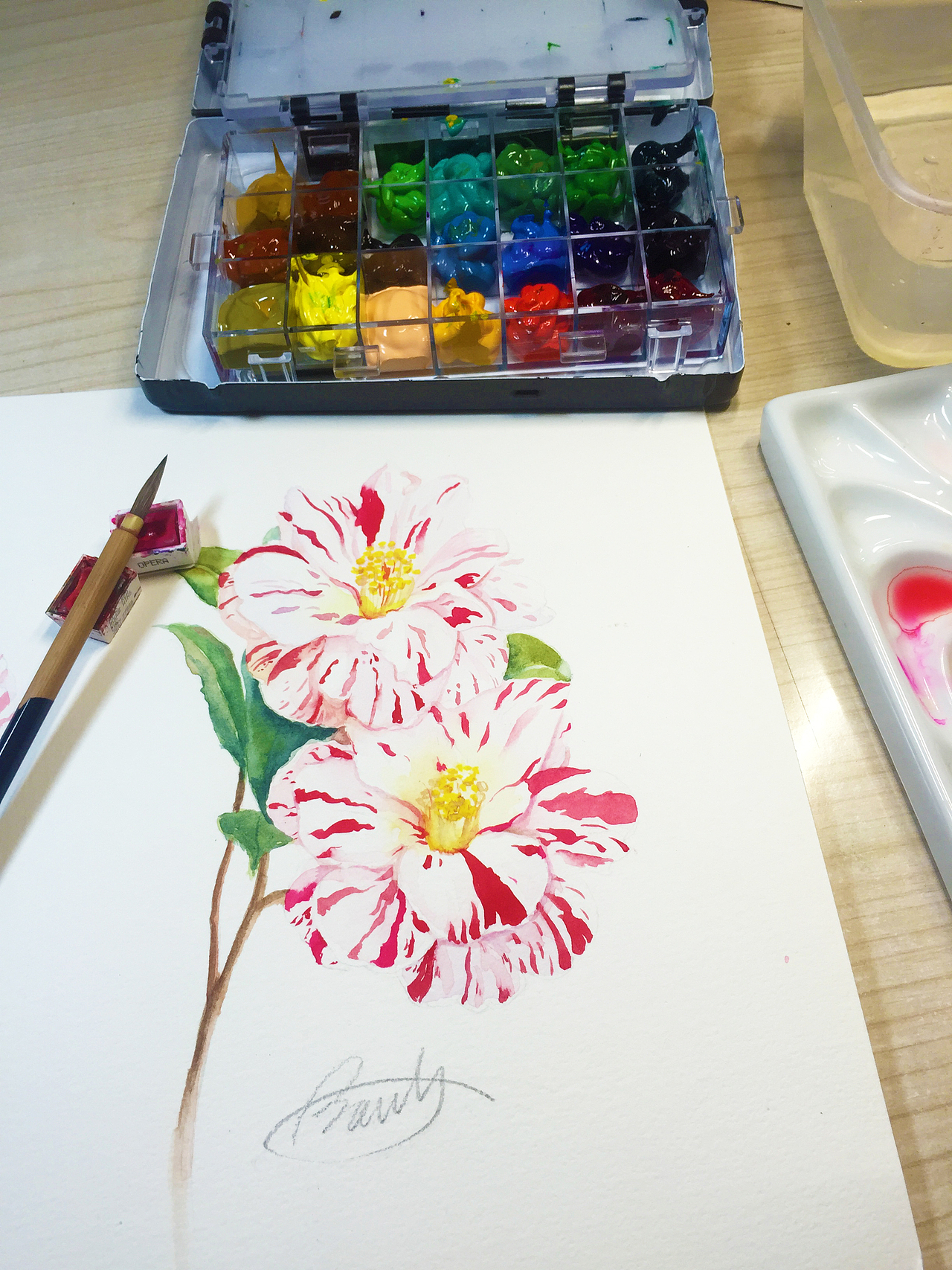 水彩手绘-山茶花