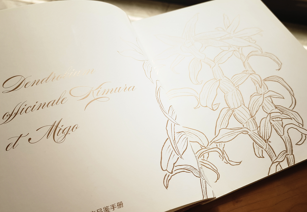 铁皮石斛公司的宣传册（图ZMTY4MDE5MjEy） - 书籍/画册 - 站酷设计师地灵地灵原创素材 - 站酷ZCOOL