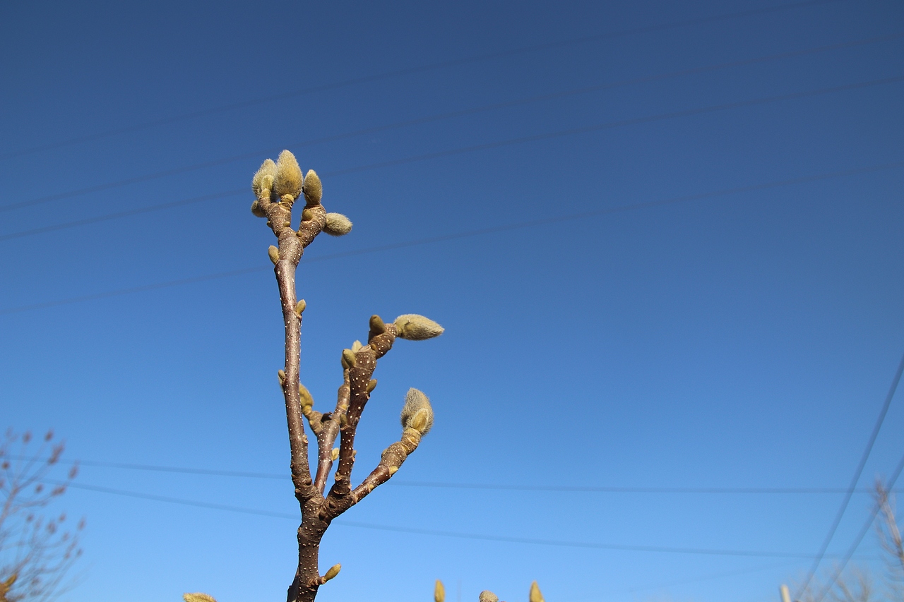 静下心来享受生活