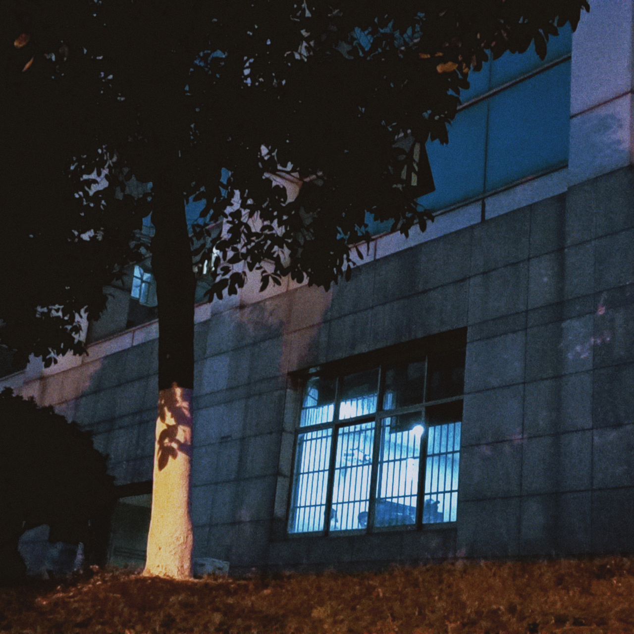 那些遗落在角落的小美好