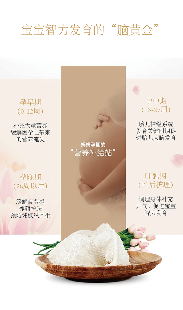 马来西亚燕窝H5制作