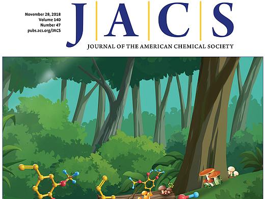 JACS上海交大许平教授 SCI杂志封面设计 科研论文绘图