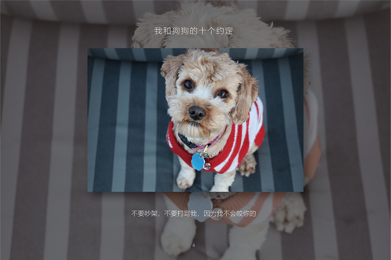 我和狗狗的十个约定InDesign