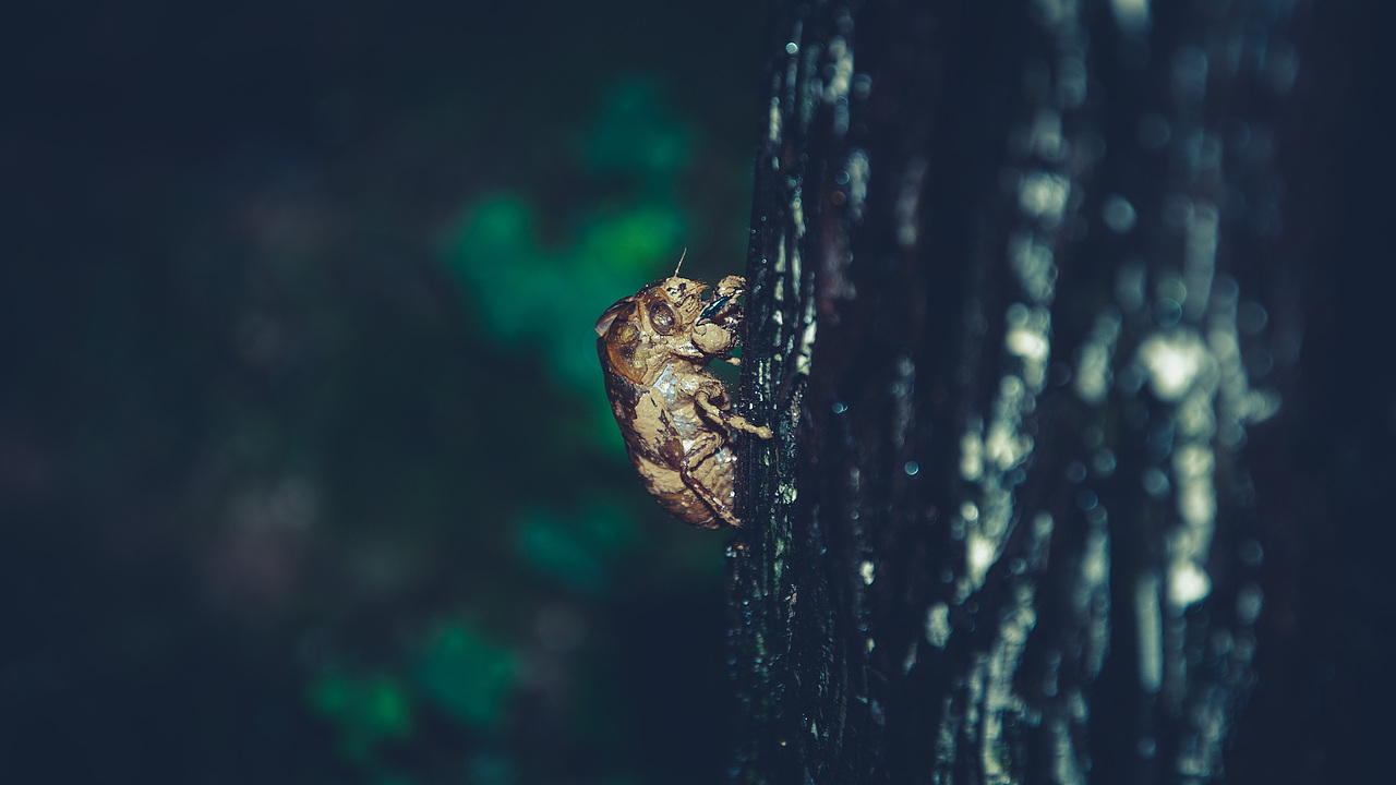 自己拍壁纸系列01（图ZMjUxNTQ0Njg4） - 风光摄影 - 站酷设计师狠手辣原创素材 - 站酷ZCOOL