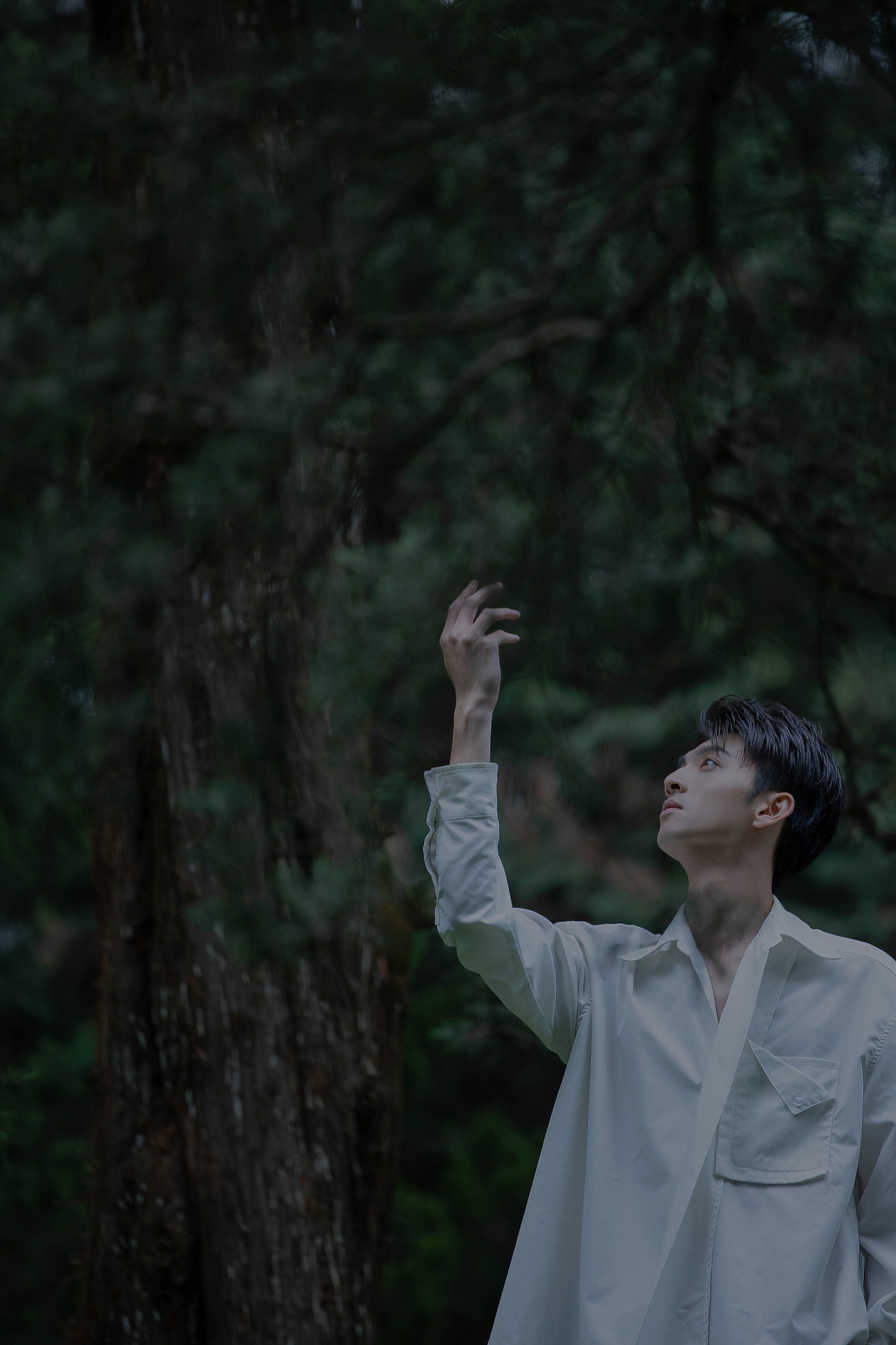 林中少年#创作加油站#（图ZMzE0NjYwNDEy） - 人像摄影 - 站酷设计师今寻本寻Kairos原创素材 - 站酷ZCOOL