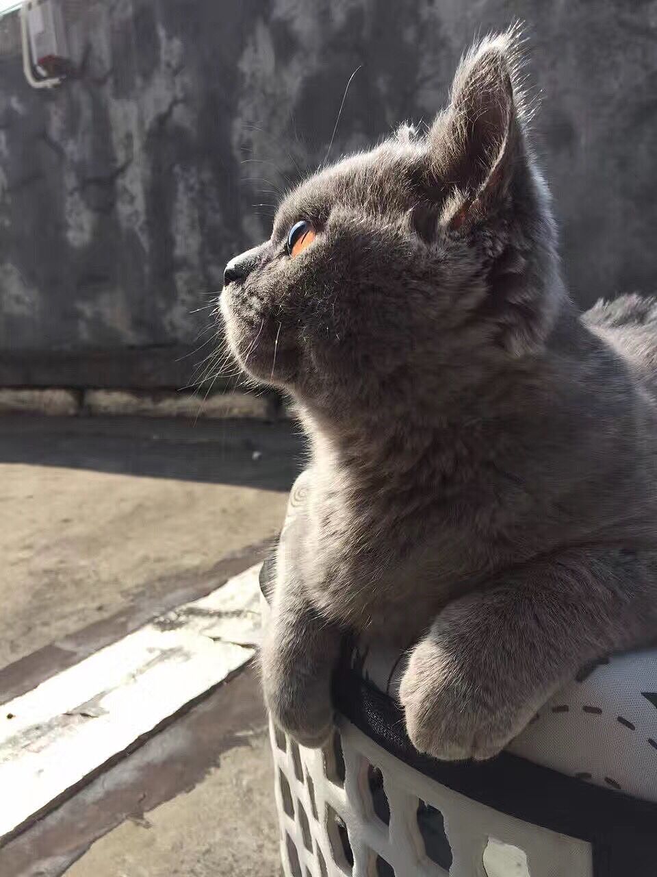 45°角仰望天空