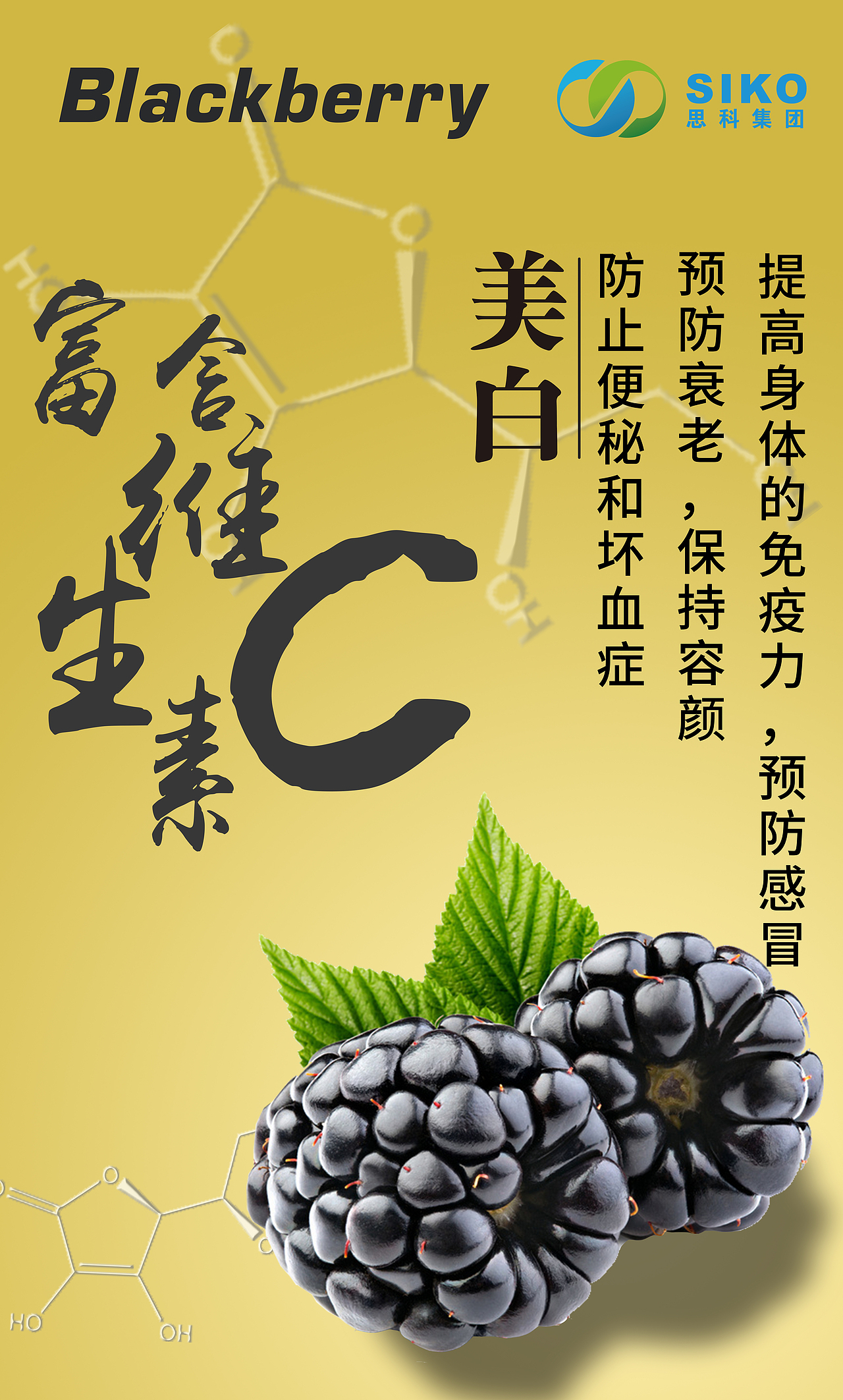 黑莓营养元素宣传