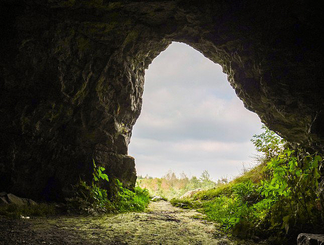 PS合成（图ZMTUzNzM3NjMy） - 图案 - 站酷设计师啊晓晓原创素材 - 站酷ZCOOL