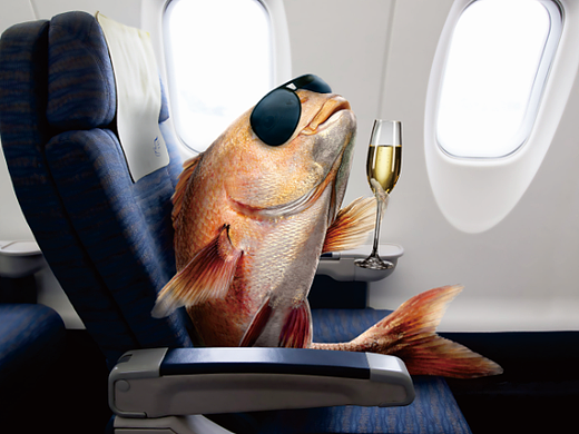 一个空运海报的飞机稿（个人主页-ZMjQwMTY5Mjg=） - 海报 - 站酷设计师二胡原创素材 - 站酷ZCOOL