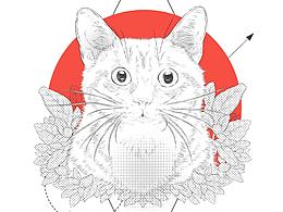 【板繪】插畫課 | 關于插畫課的總結