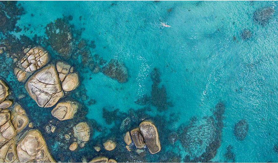 五玄土×红树湾壹号 ||「听涛」